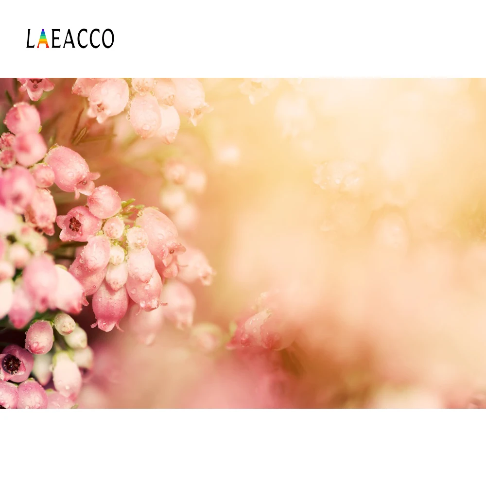 Laeacco Flowers Dew Hazy Baby Shower Newborn Children Photography Backgrounds Customized Photographic Backdrops For Photo Studio |