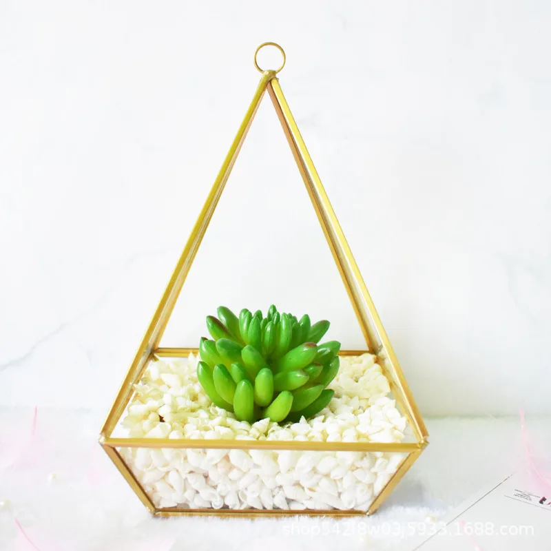 Bonsai Irregular Glass Box Tabletop Succulent Geometric Terrarium Planter Flower Pot Moss Ferns Miniature | Дом и сад