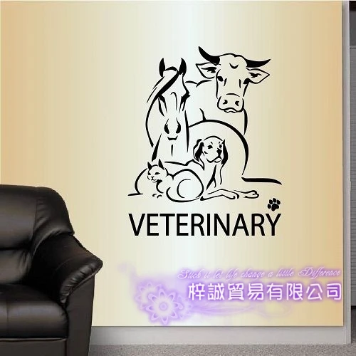DCTAL собака кошка ветеринарный Pet магазин стикер наклейка плакаты виниловые