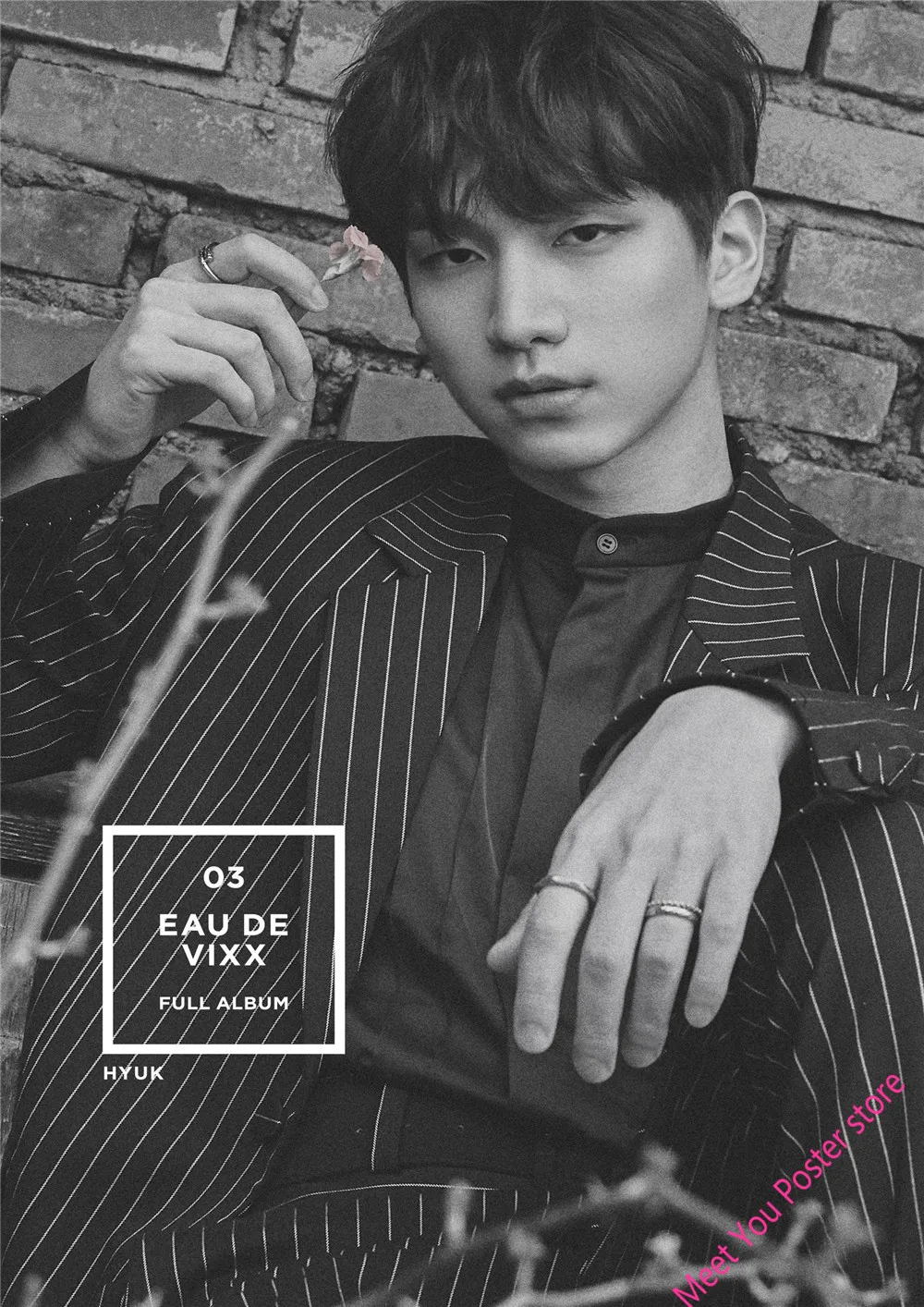 Новинка, VIXX плакат, прозрачные изображения, белые картонные наклейки на стену, украшение дома, художественный плакат, подарок, Декор для дома, гостиной, В1