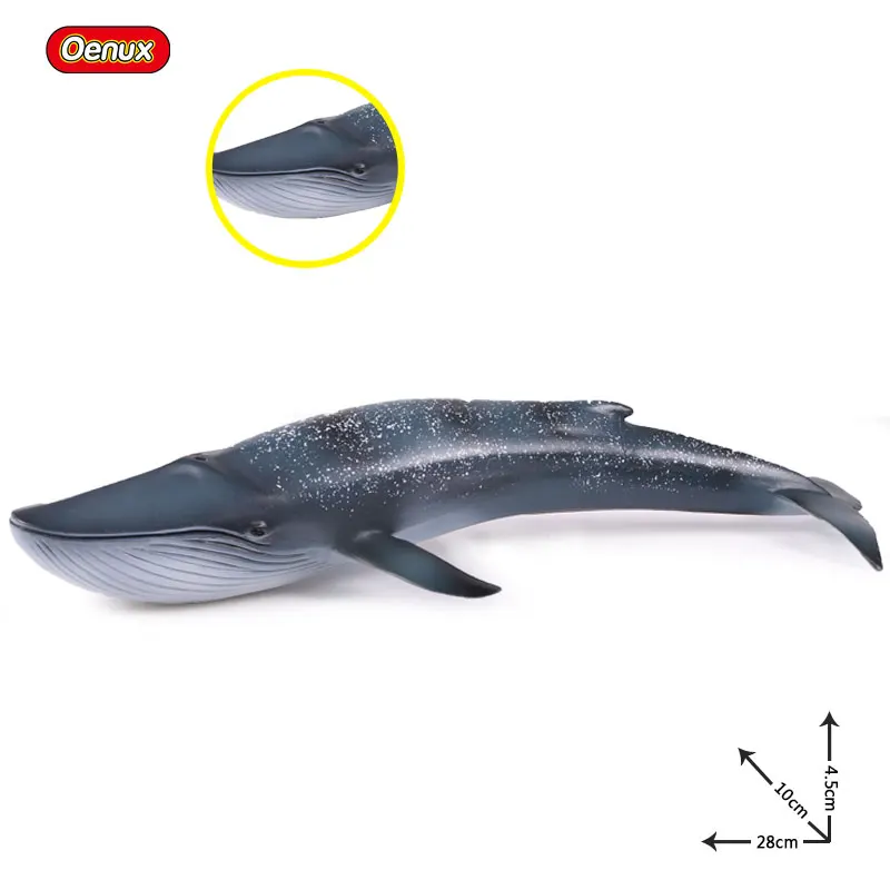 Blue Whale Oenux, новинка, морская жизнь, морские животные, мегалодон, Кит, большая акула, модель, фигурка, ПВХ, Акула, фигурки животных, игрушки, детский подарок - Цвет: Blue Whale