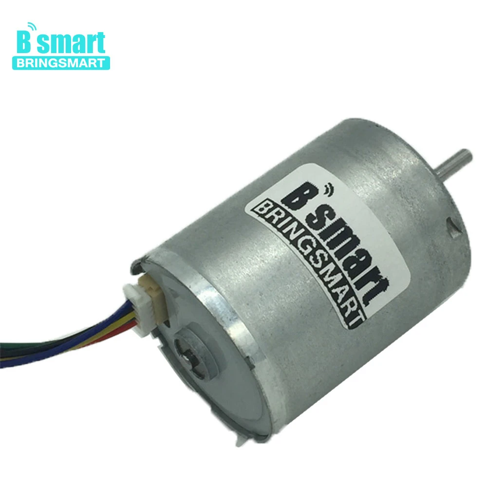 Bringsmart 6000 об/мин 12 в долгий срок службы бесщеточный микро DC мотор высокий малоскоростной электродвигатель Миниатюрный мотор низкий уровень шума для DIY части R2430