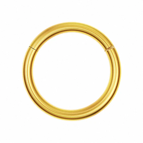 Gold Круглые серьги-кольца из титана цвета розового золота с трагусом-6 мм 8 мм 10 мм 12 мм 16 г 1,2 мм - Окраска металла: Gold
