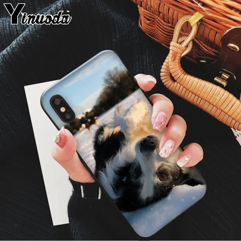 Yinuoda милый Border collie Dog Новый чехол для телефона Fundas Apple iPhone 8 7 6 6S Plus X XS MAX 5 5S SE XR