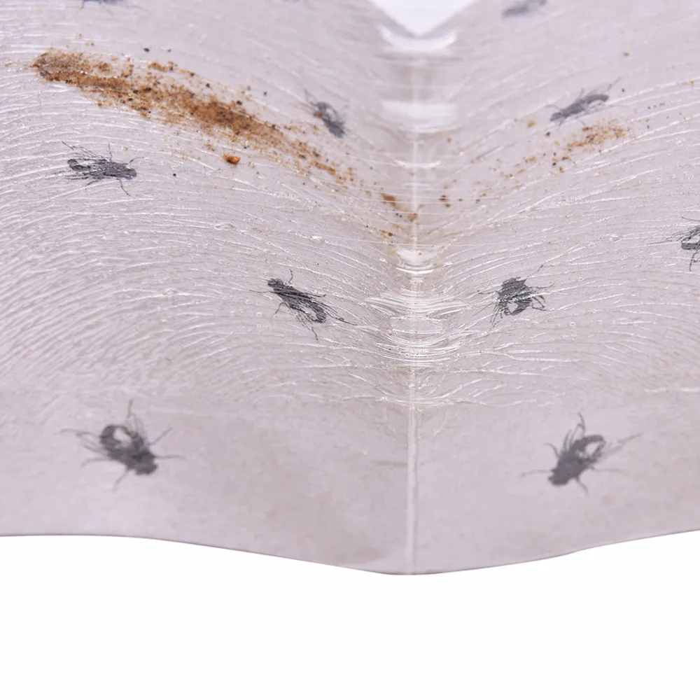 Комплект из 3 предметов картон + палка муха с помощью липкого клея-вредителей