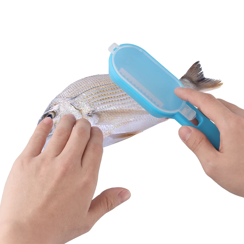 Морепродукты рыба весы строгальный инструмент инструменты для приготовления