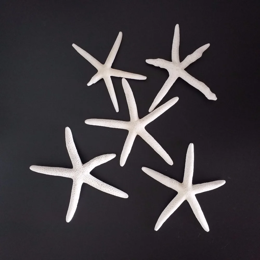 

10Pcs 6-12cm White Starfish Five Finger Beach Coastal Wedding Decor Pretty Crafts sea star