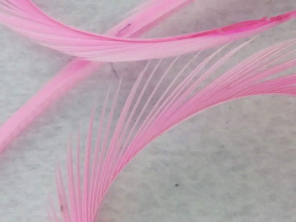 light pink 10 штук Красивых Перьев гуси, 5-" /13-20 см, diy украшения декоративные аксессуары - Цвет: light pink