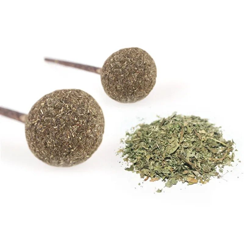 1 шт. натуральная кошачья мята ПЭТ мольный мотив зубная паста палка Matatabi Actinidia