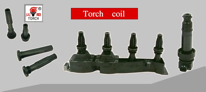 Китайский фонарь катушка зажигания DQG1250-BM для Passat/passat leading/Aryan/baolai/audi A4B6/audi A4B7/audi A6C5