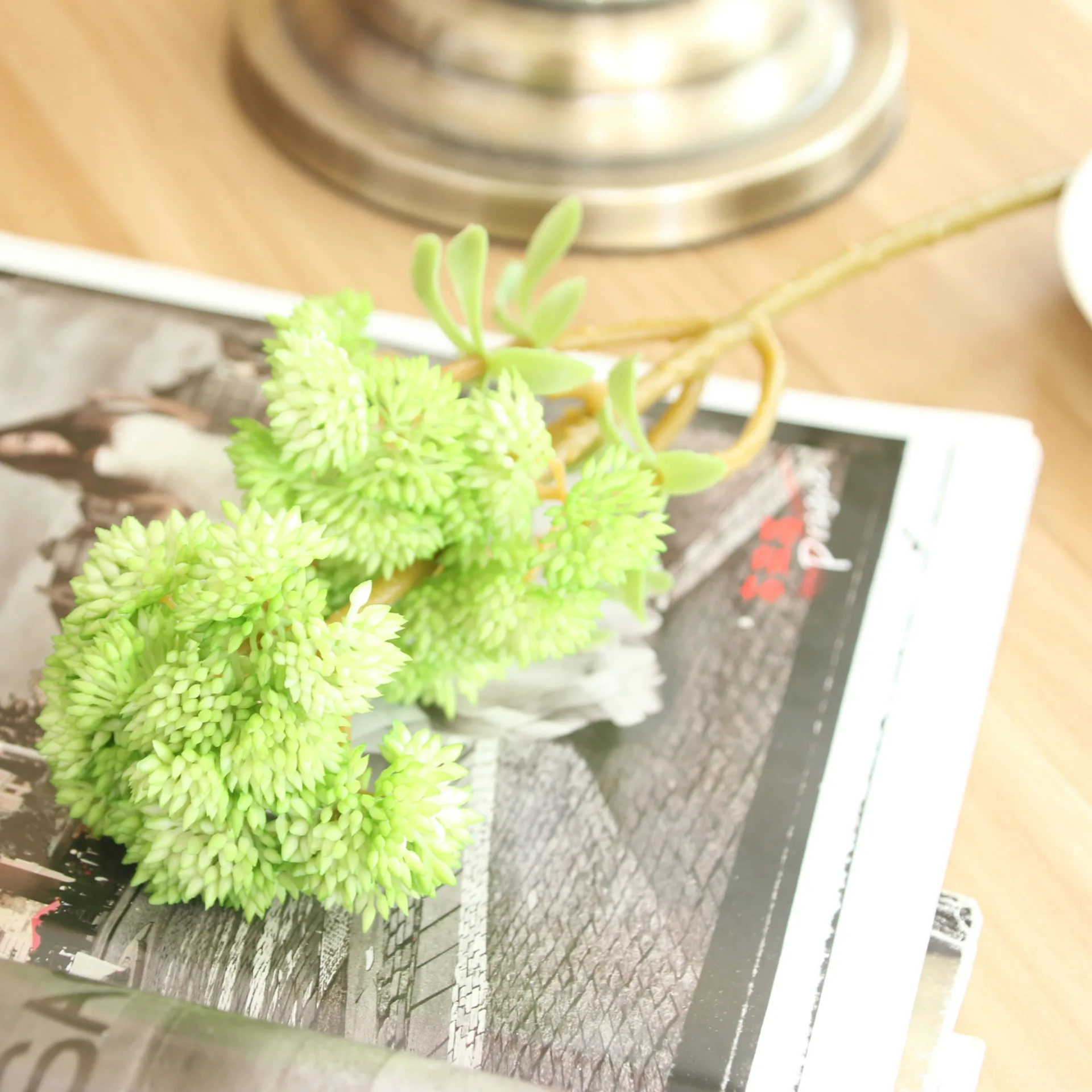 5 pcs/lot high simulation 6 heads succulents Cauliflower soft gum fine fruit plant bouquet for home decoration artificial plants | Дом и сад