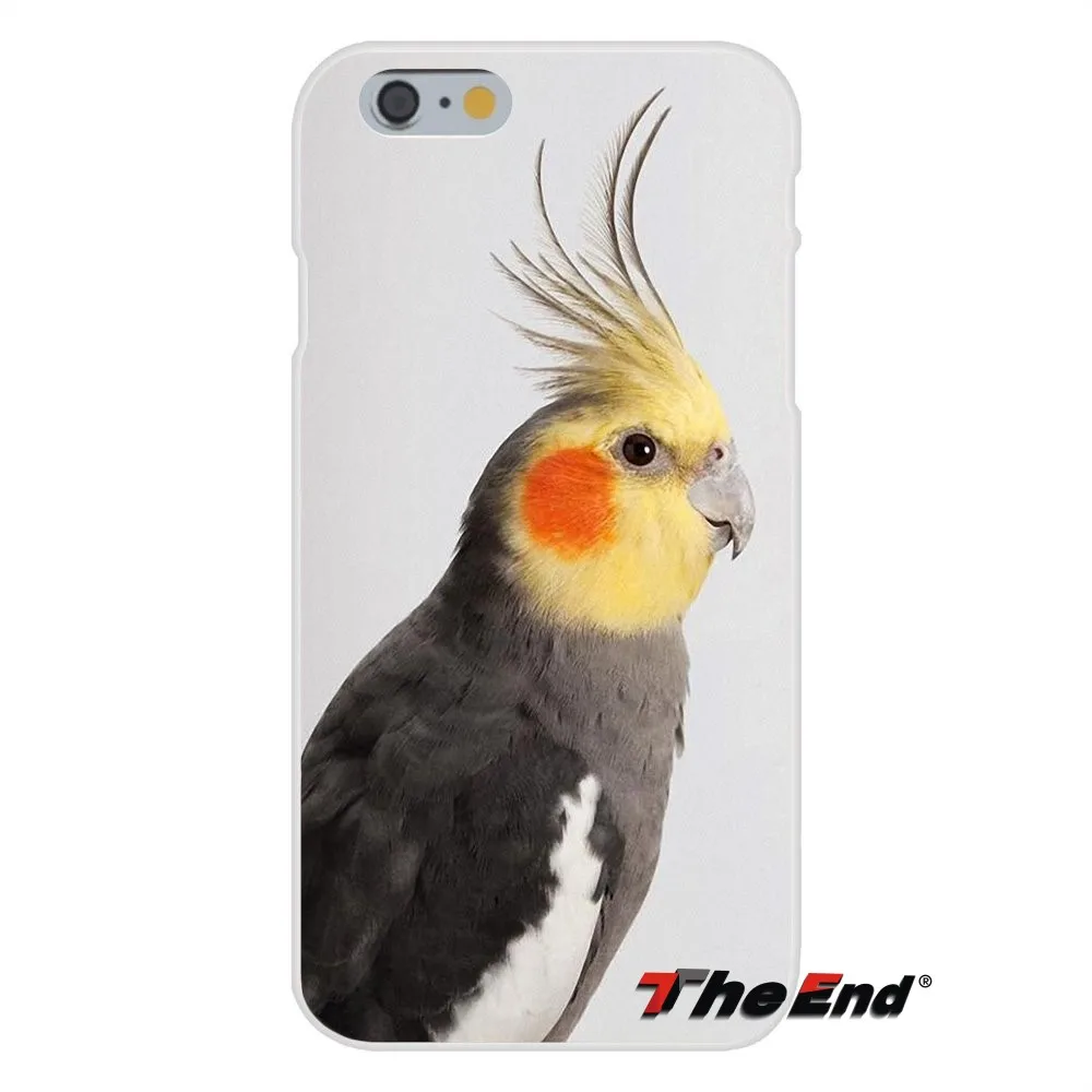 For HTC One M7 M8 A9 M9 E9 Plus Desire 630 530 626 628 816 820 Silicon Soft Phone Case Blue Ringneck Parrot Art Print | Мобильные
