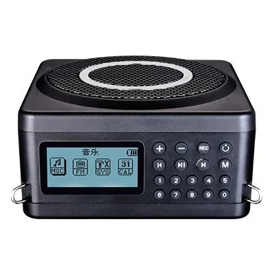 Новый беспроводной портативный усилитель Takstar E260W 2 4G преподавательный динамик с
