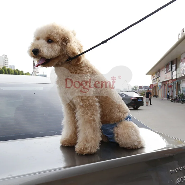 Модный джинсовый костюм для собаки с дырками физиологический пояс менструальные