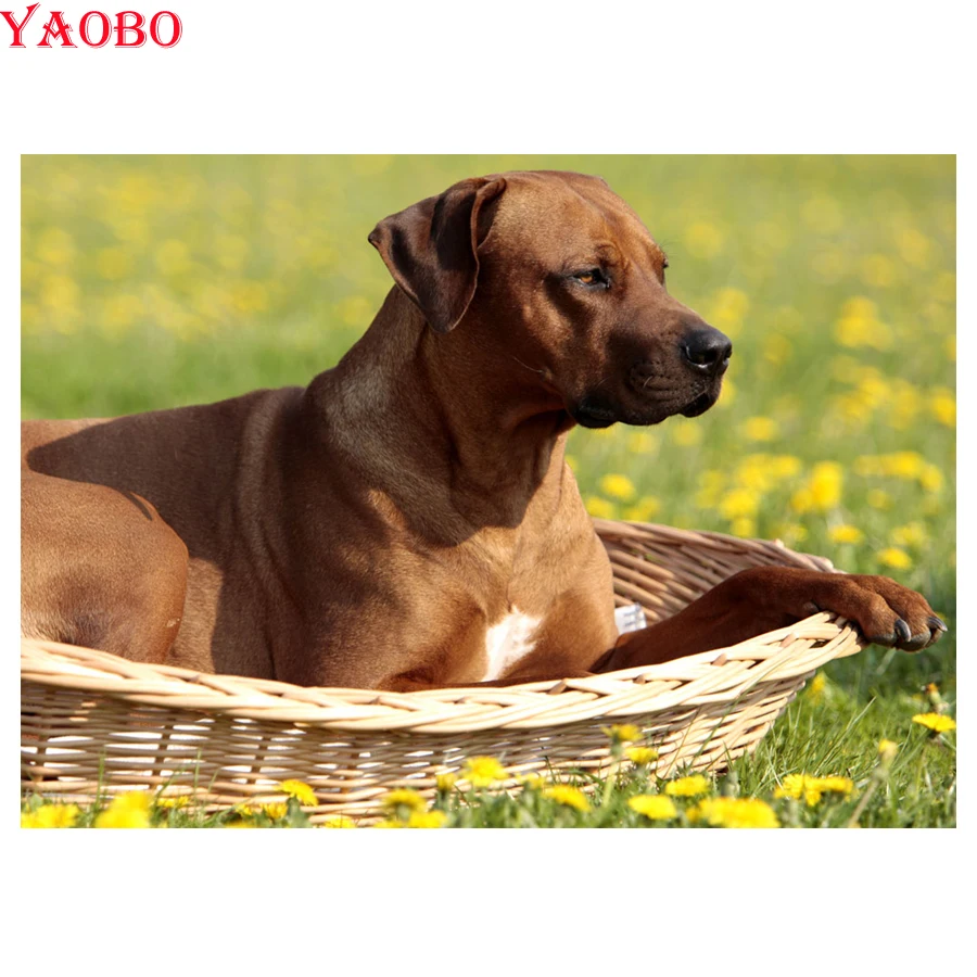 Полностью квадратная Алмазная картина rhodesian ridgeback 5D DIY живопись по номерам горный