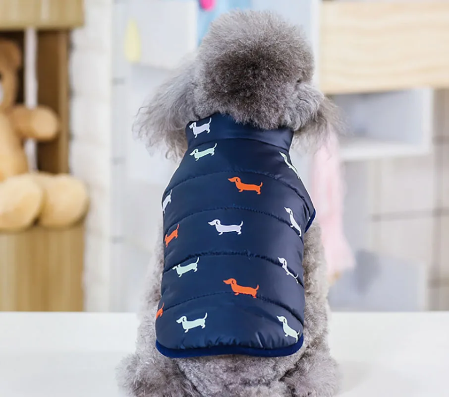 Новинка стильная одежда для двух собак женская домашних животных Женская куртка