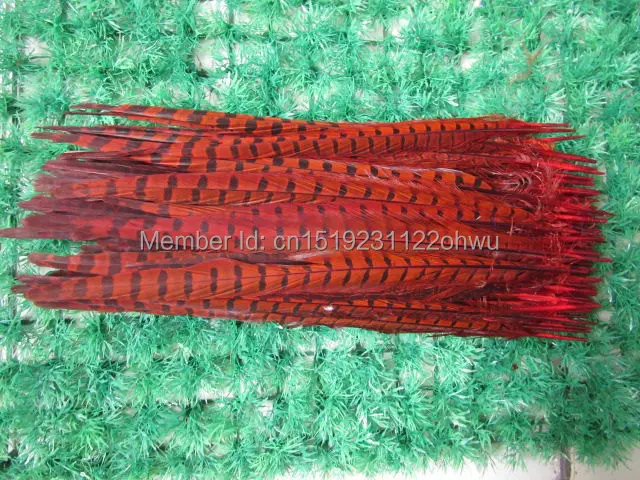

Wholesale 100 pcs beautiful red Pheasant Feather 14-16 inches 35-40 cm free shipping