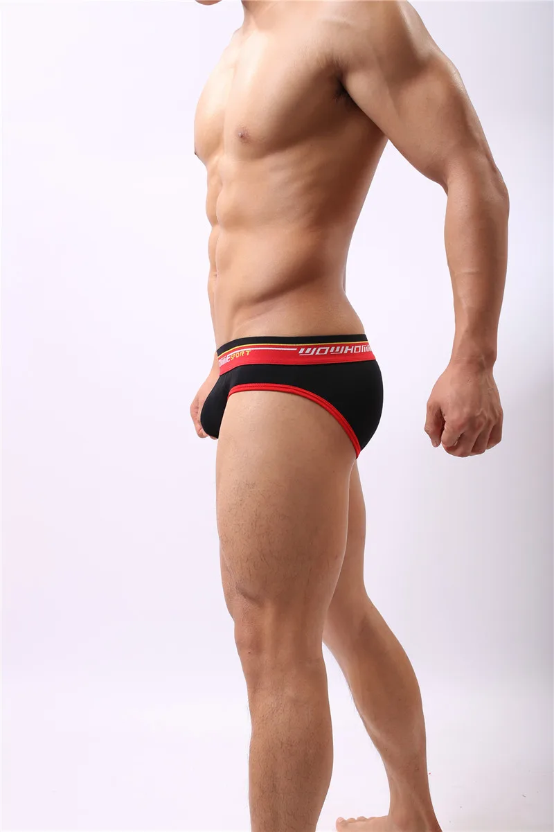 3PCS/Lot Sexy Briefs Modal Men Sexy Penis Pouch Briefs Underwear Gay Male Panties ropa interior Mens Sexy Underpants Briefs