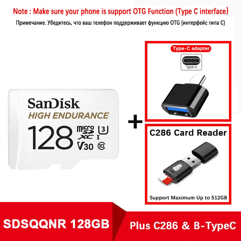 SanDisk карта памяти MicroSD карта памяти высокая выносливость MicroSD 32 Гб 64 Гб 128 ГБ до 100 м/с TF карта C10 U3 V30 Cartao De Memoria флешка - Емкость: SQQNR-128-C286-TypeC