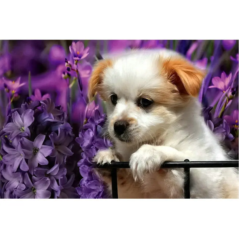 ZOOYA DIY Алмазная вышивка собака и фиолетовые цветы алмазная картина наборы для