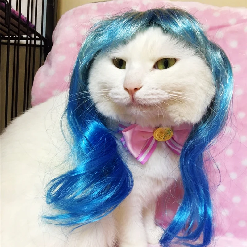 [MPK парики в виде кота] синие и пурпурные для кошек оценители костюмов милых