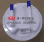 

Fuel Pump Module Assembly for Citroen C4 C-Quatre / Peugeot 307 DSF-FK002