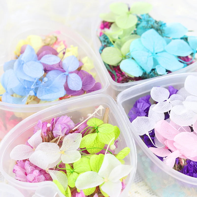 1 коробка Микс сушеных цветов для дизайна ногтей сделай сам консервированный