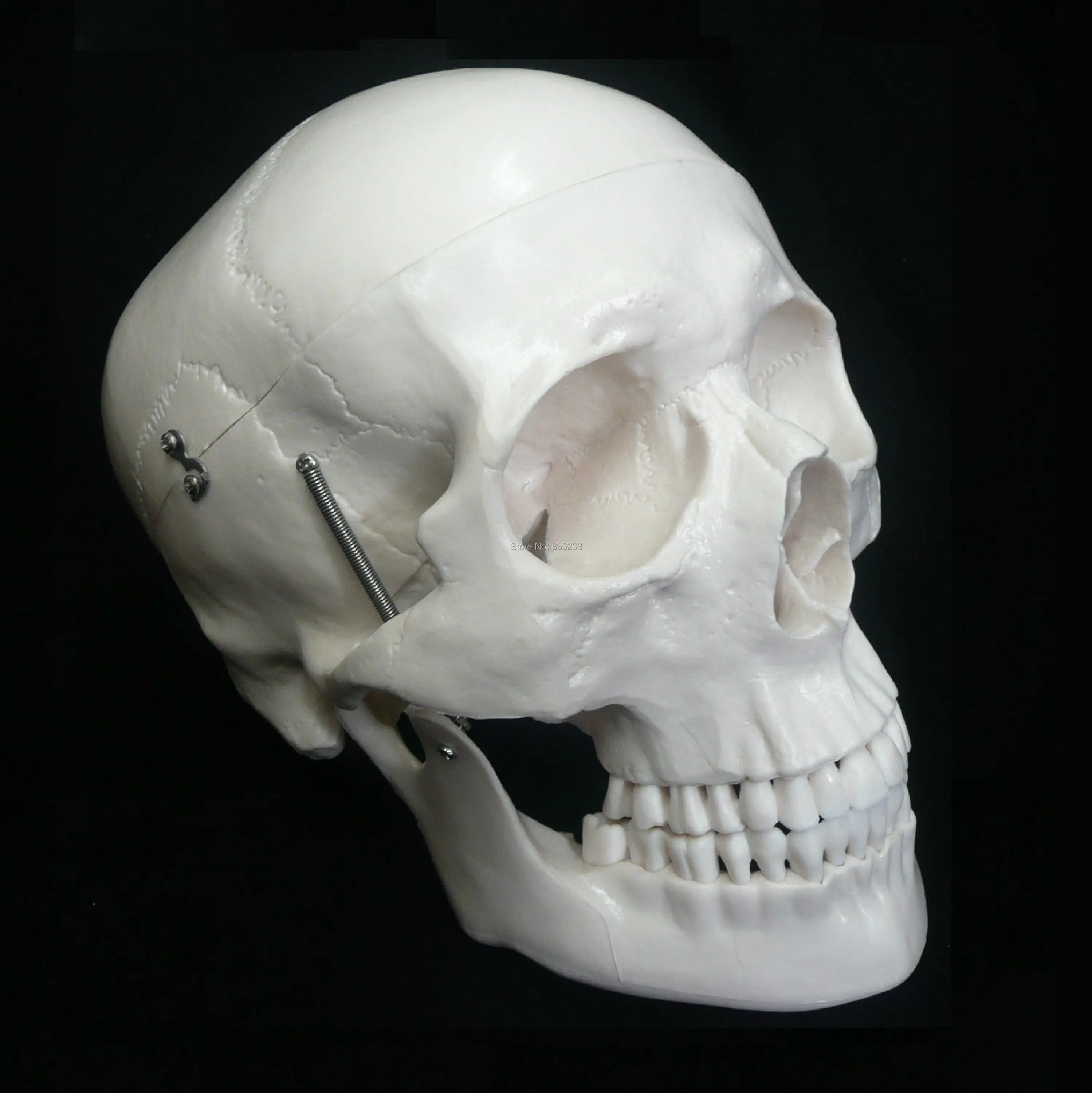 Человеческий стиль размер в жизни роскошная модель черепа оригинальное сердце