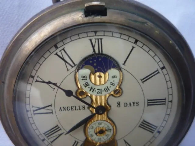 Коллекция красивых механических карманных часов/часов может работать