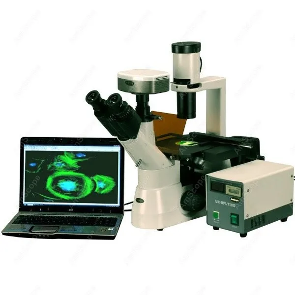 Флуоресцентный Инвертированный микроскоп EPI AmScope Supply 40x 1000x флуоресцентный +