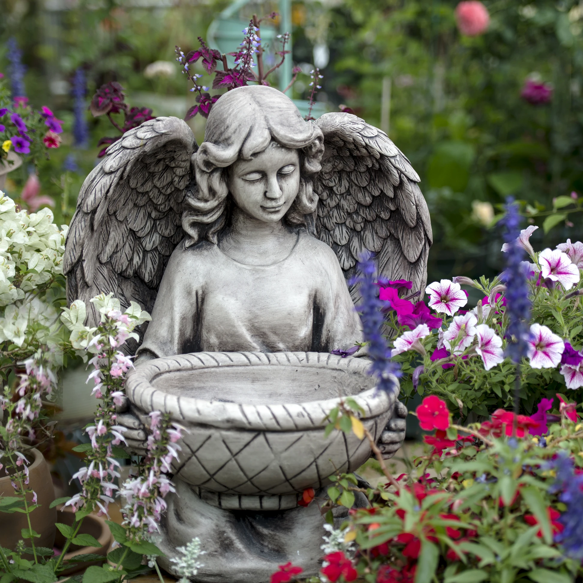 Садовый цемент Angel Украшения цветочного горшка садовый суккулент большого