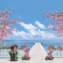 Виниловый тканевый фон для фотосъемки с изображением морского
