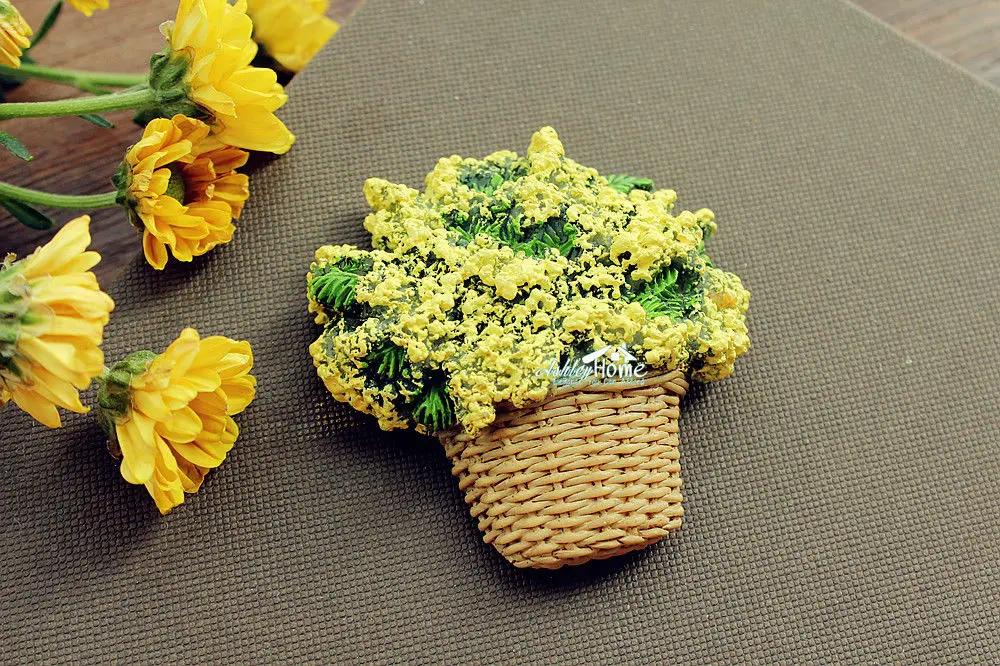 Цветы изнасилования в Чеджу Корея Южный туристический сувенир для путешествий 3D