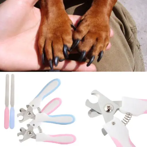 Машинка для стрижки когтей с когтями собак и кошек|claw clippers|cat nail clippernail dog |