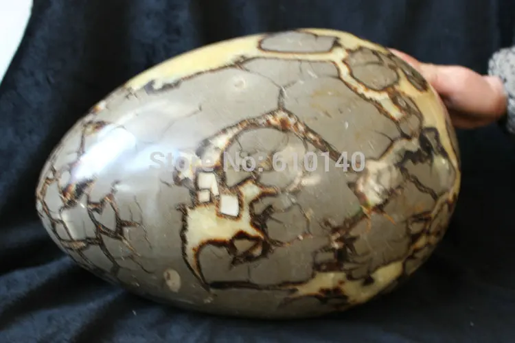 Огромный Натуральный Камень дракона Septarium Fossil Crystal Egg Healing | Дом и сад