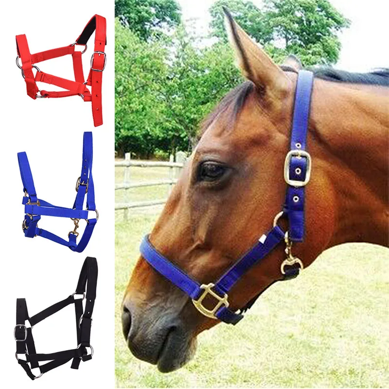 Новое поступление утолщенный плетеный пояс повязка на шею для верховой езды