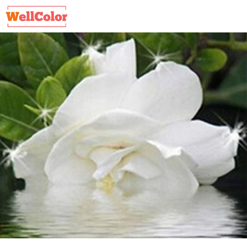 WELLCOLOR Алмазная мозаика белая роза цветок 5d сделай сам вышивка алмазная живопись