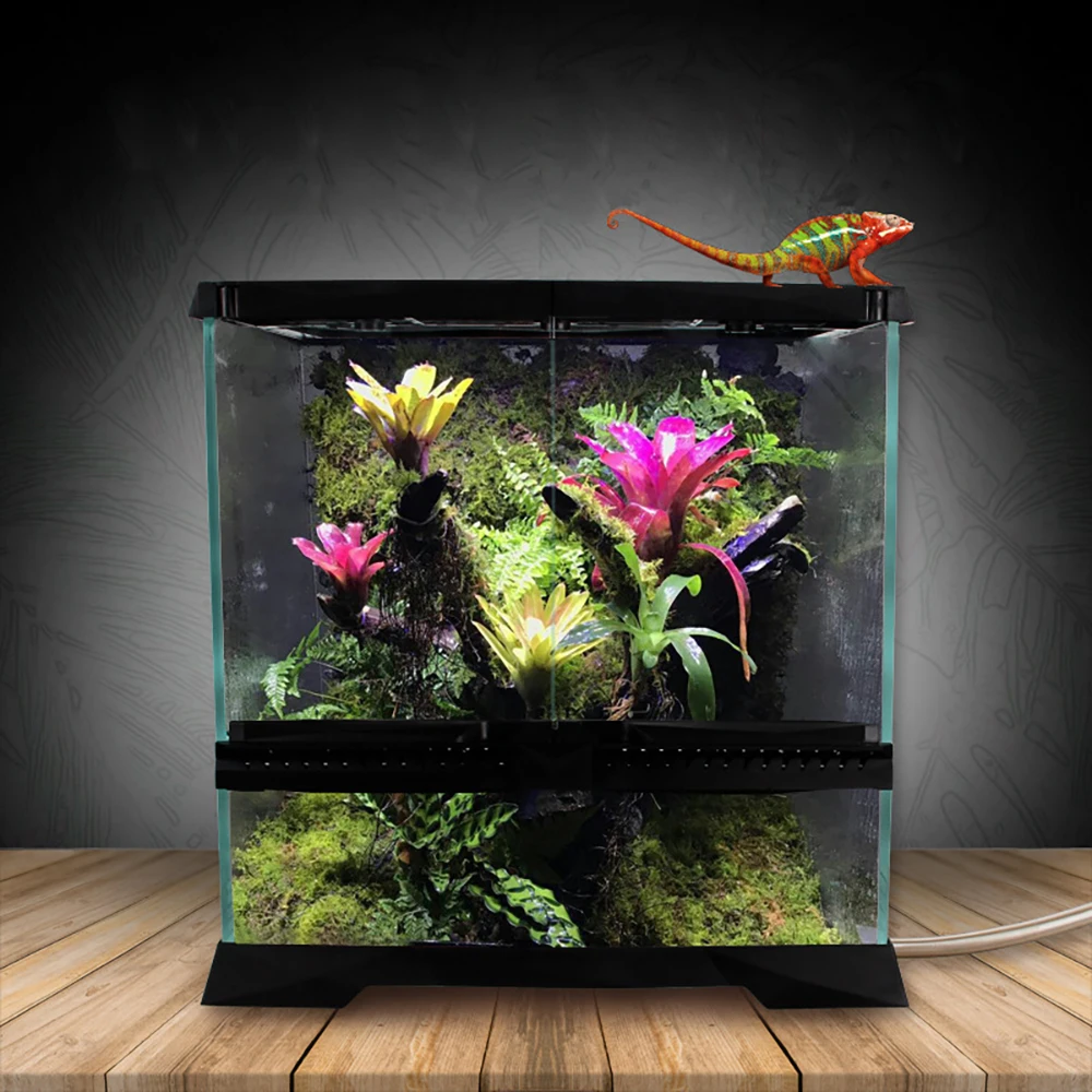 

Glass Rainforest Landscaping Ecological Tank Tropical Plant Cylinder Reptile Lizard Gecko Chameleon Rearing Bin Box Tank Black