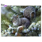 Белка Алмазная вышивка крестиком полная Алмазная вышивка Европа свадебное украшение квадратный Хэллоуин Рождественский подарок ASF373