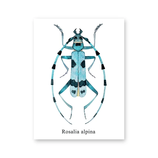 PH3586 Акварель Жук иллюстрация принты Coleoptera насекомые плакаты домашняя комната Настенный декор образовательный холст живопись картина - Цвет: PH3586