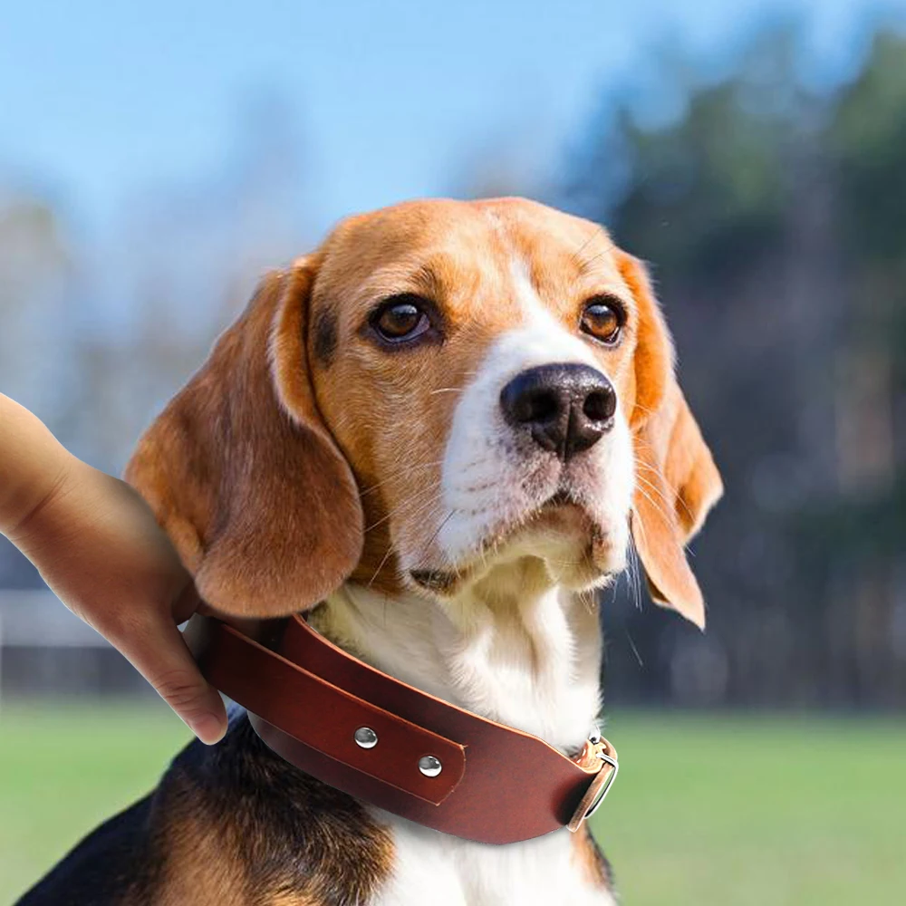 Ошейник для дрессировки собак из натуральной кожи 17 21 дюйм|leather film|leather leash and