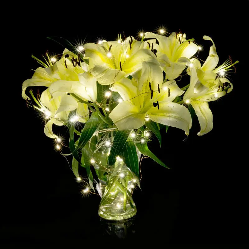 Питание от батарейки AA теплый белый медный провод фотоэлемент для сказочной