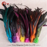 factory wholesale 50pcslot cheap rooster tail feather colorful 30 35cm12 14inch for decorate