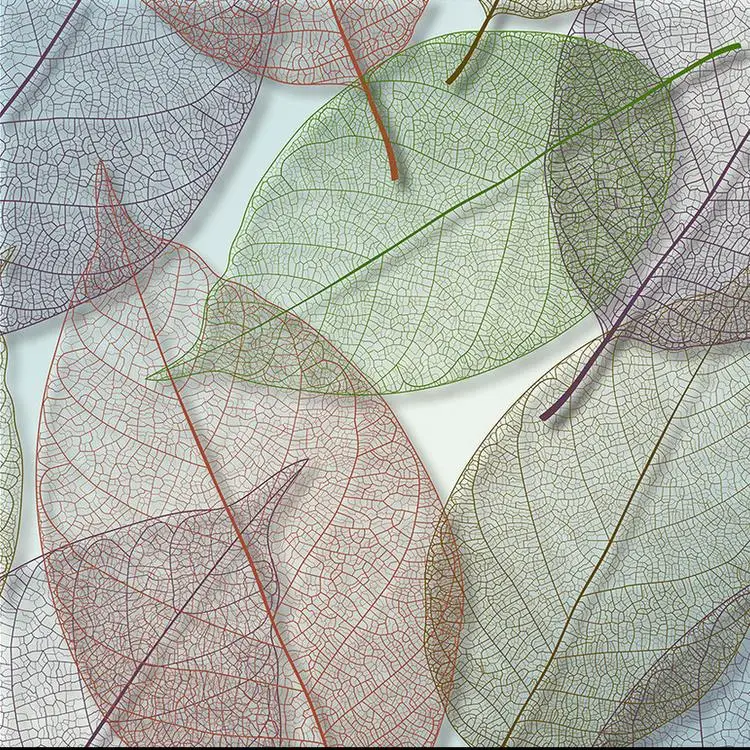 Обои для пола ванной комнаты разноцветные кленовый лист элегантные модные 3D