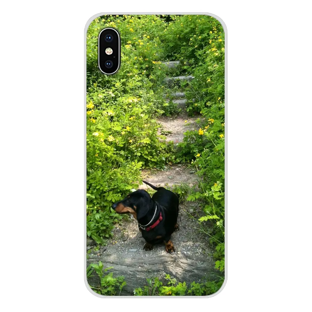 Мягкие прозрачные чехлы для Huawei P Smart Mate Honor 7A 7C 8C 8х9 P10 P20 Lite Pro Plus Такса doxie flower dog