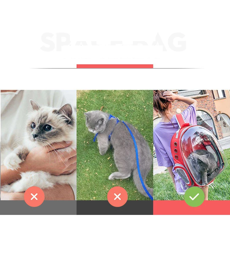 Кошка переноска для животных сумка-рюкзак для кошек для котенок Щенок Чихуахуа маленькая собака, несущая ящик открытый товары для домашних животных Товары для путешествий для кошки