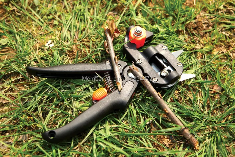 Профессиональные садовые ножницы для обрезки фруктов + 2 лезвия инструменты