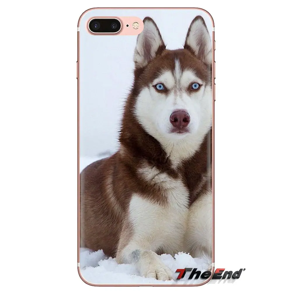 Siberian Husky Dog puppies For Xiaomi Redmi 4A S2 Note 3 3S 4 4X 5 Plus 6 7 6A Pro Pocophone F1 Soft Transparent Shell Covers |