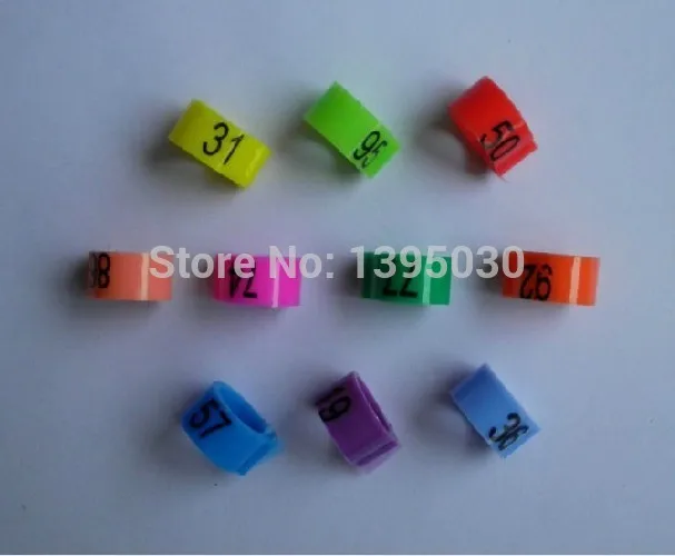 Курочка-Несушка голубь ногу птицы птица цыплят утка попугай клип Кольца группа |