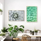 Agave Листья печати большой век растения в Ландшафтный цветок кровать плакат суккуленты ботаническая настенная Картина на холсте домашний декор